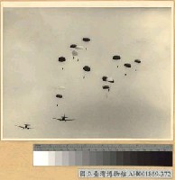 藏品(降落傘部隊)的圖片